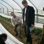 A l'initiative des producteurs et des Jeunes Agriculteurs 47, lancement de la campagne 2005 de la Fraise à Tayrac. Ici les députés Dionis et Merly à l'écoute d'Eric TOVO des JA 47 Lundi 21 mars 2005