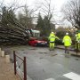 Un arbre du Jardin Jayan à Agen s'est effondré sur cette voiture, la coupant en deux ... . 03/02/09