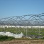 La serre de production de salades de M. Bitaubé a été complètement détruite par la tempête . 17/02/09