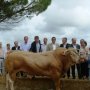 Jean Dionis au comice agricole de Puymirol avec un taureau 04/09/2011